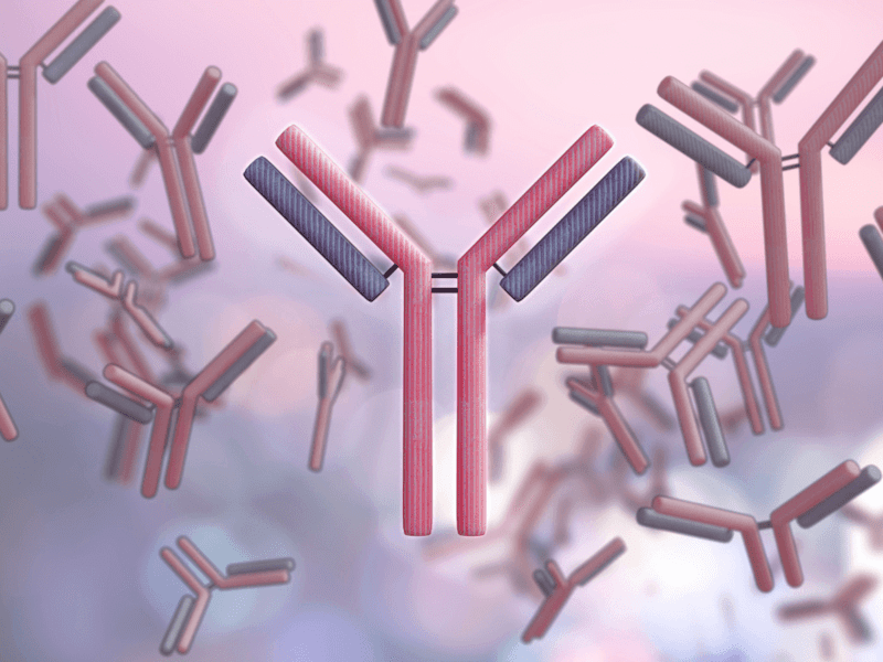 computer illustrated image of antibodies